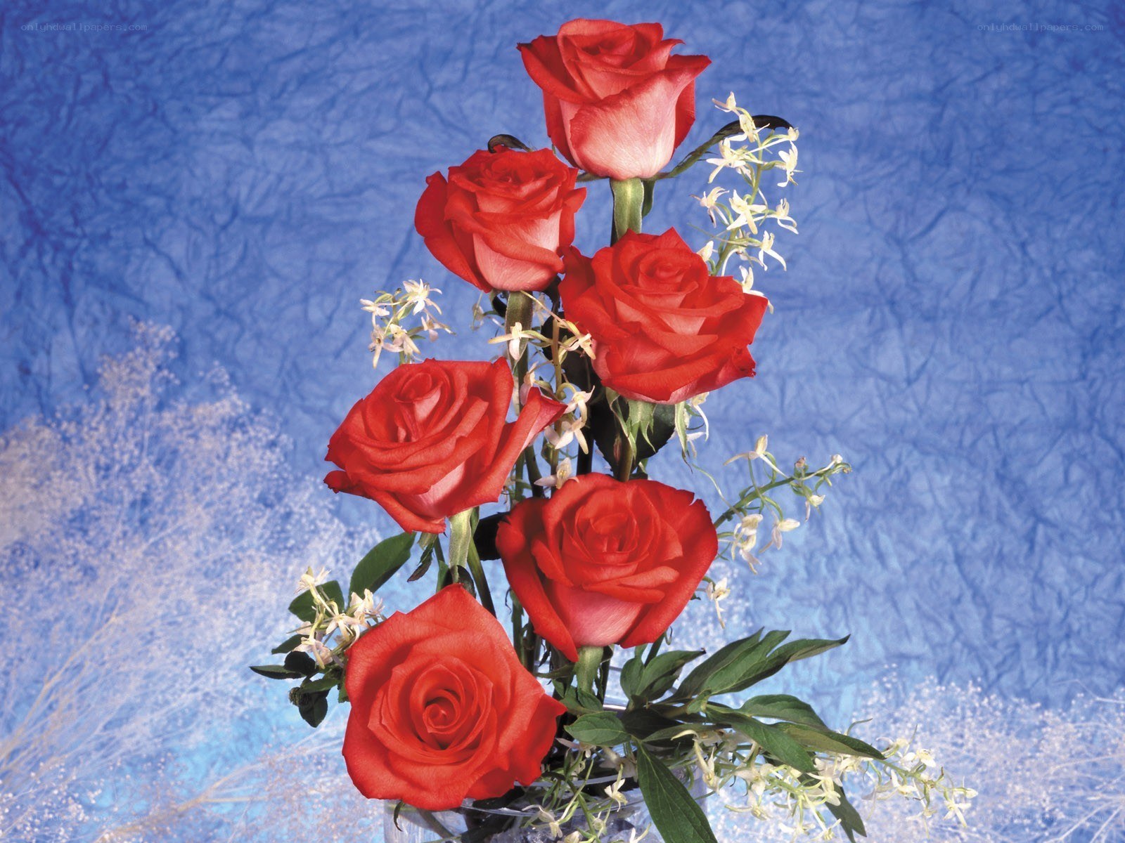 Red roses with white flowers