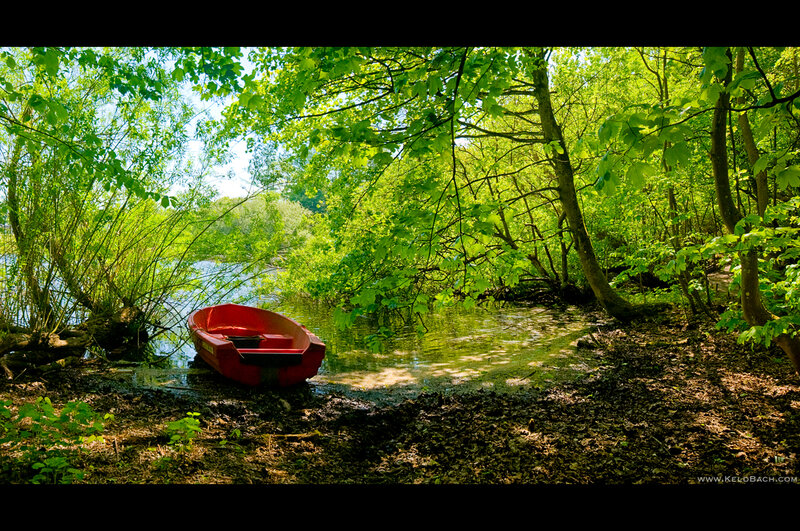 Red Rowboat on Shore — Green, Serene