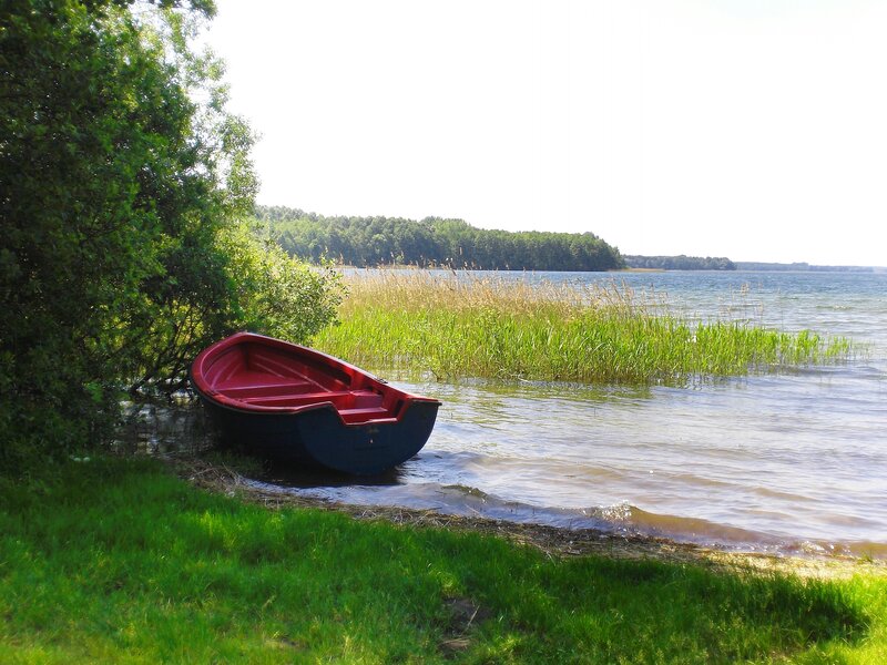 Red Rowboat on Shore — Green