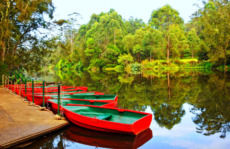Red Rowboats on Lake