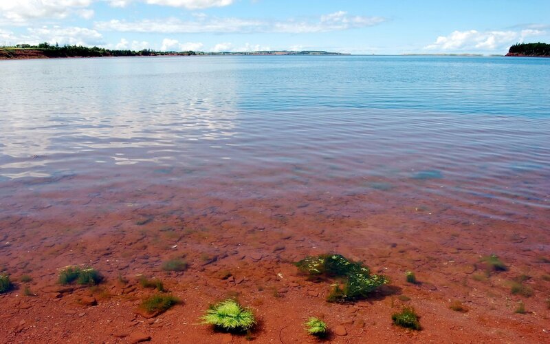 Red sand beach with calm water