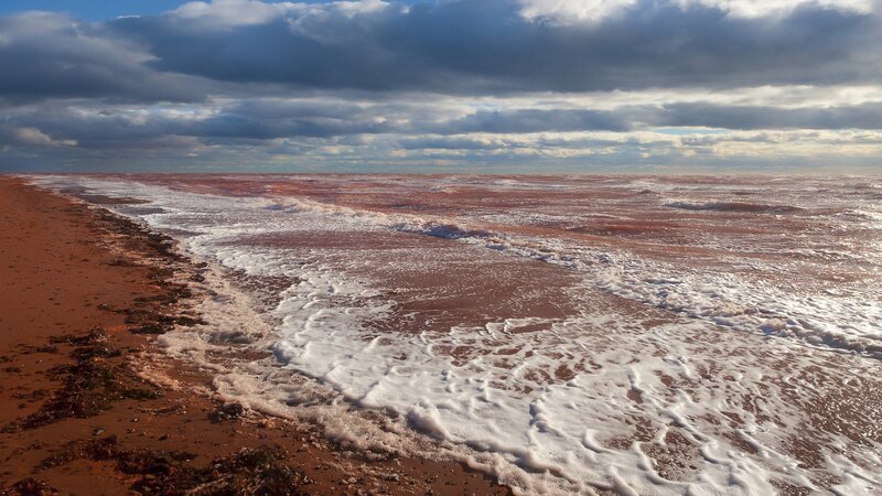 Red sand beach with foamy waves