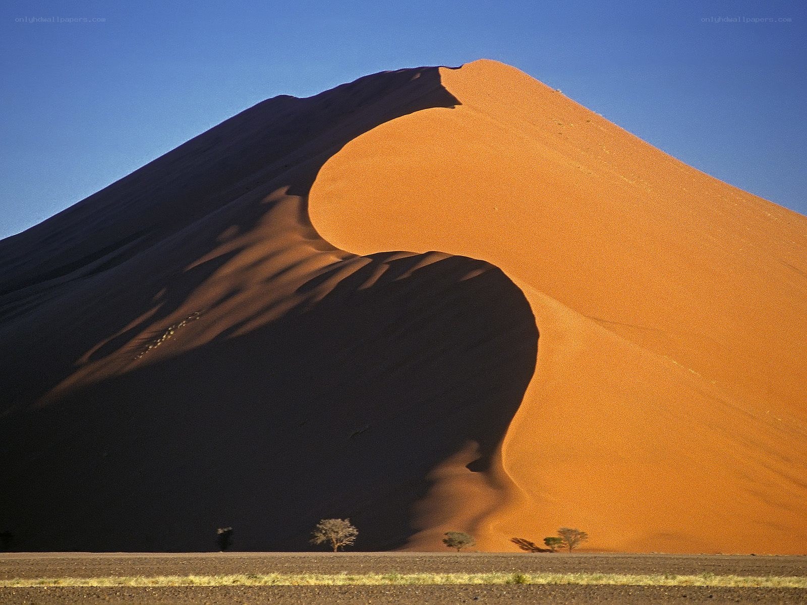 Red sand dune in desert