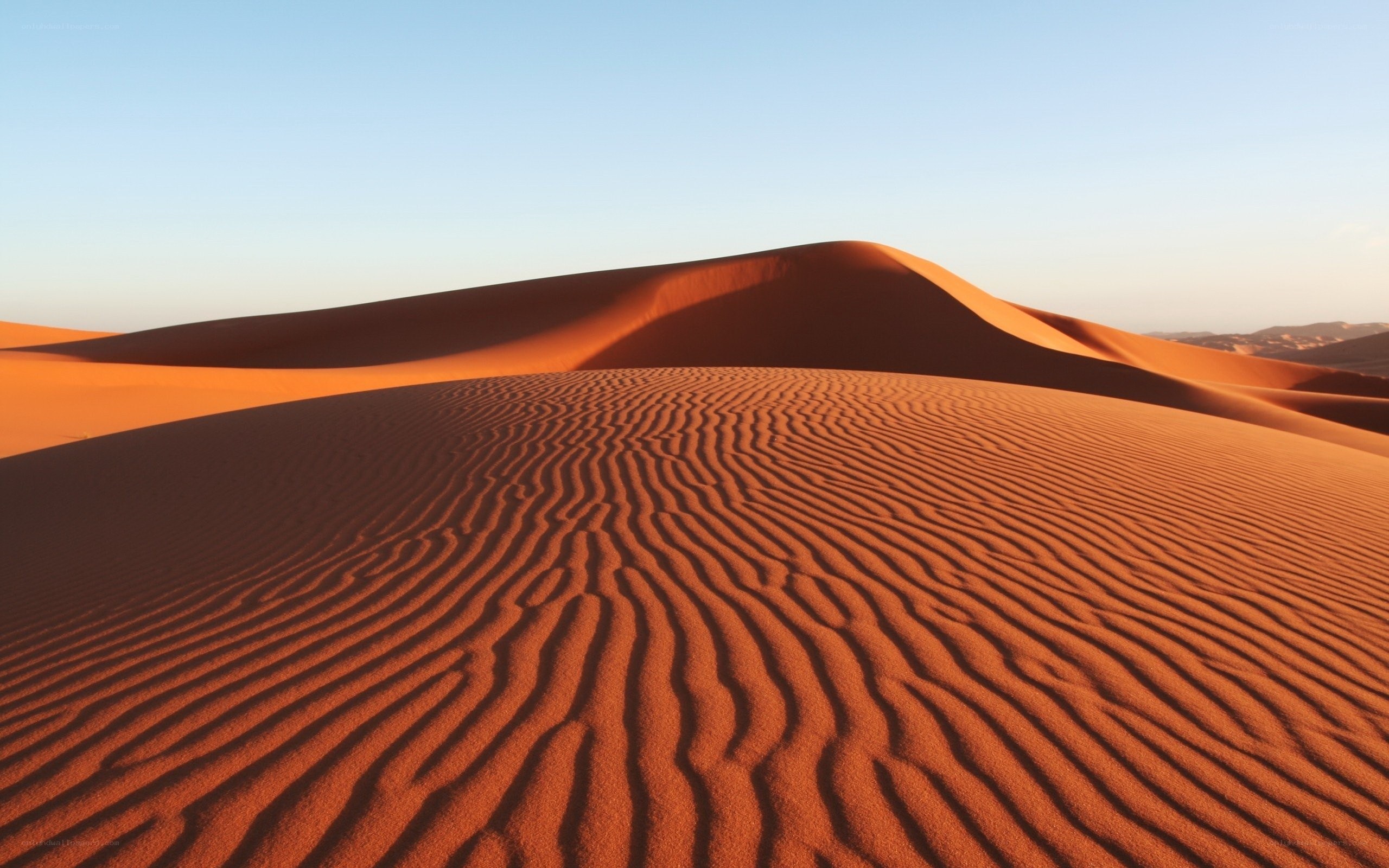 Red sand dunes at sunset