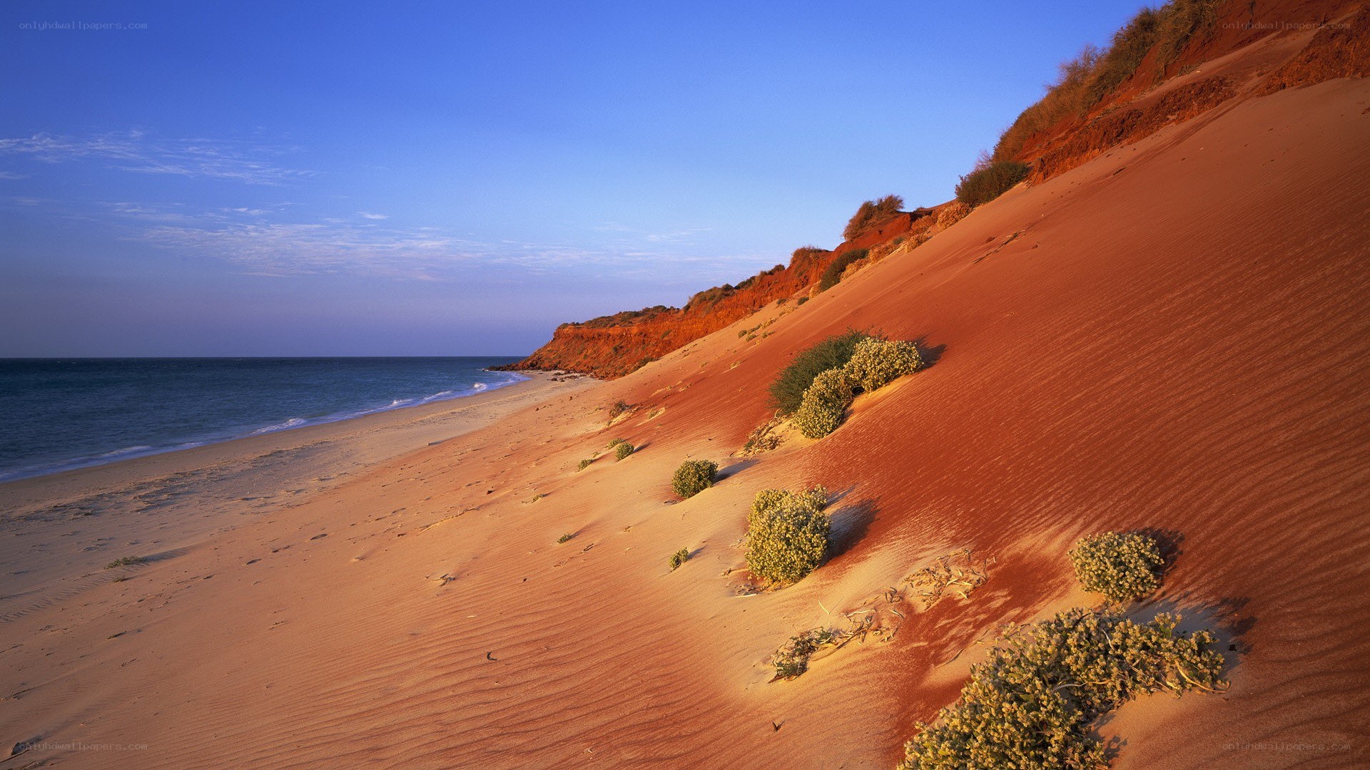 Red sand dunes by the ocean