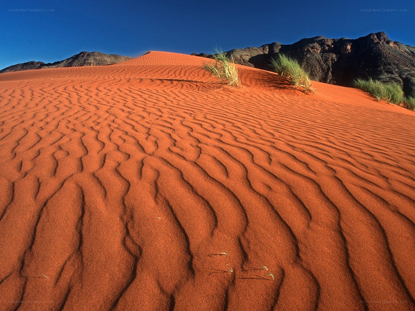 Red sand dunes in desert