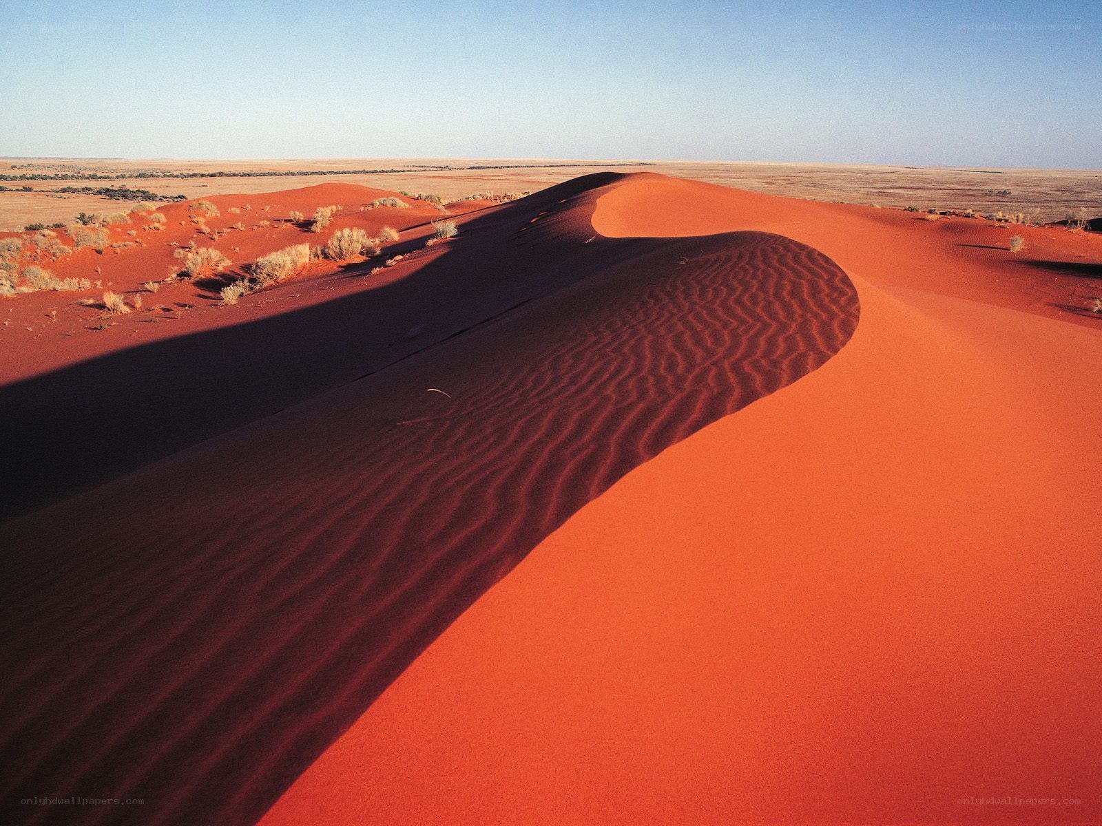 Red sand dunes in desert