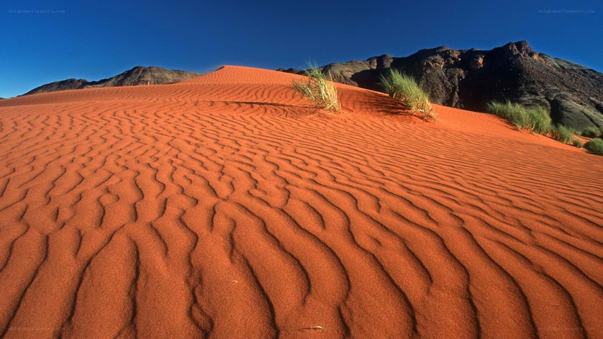 Red sand dunes in desert