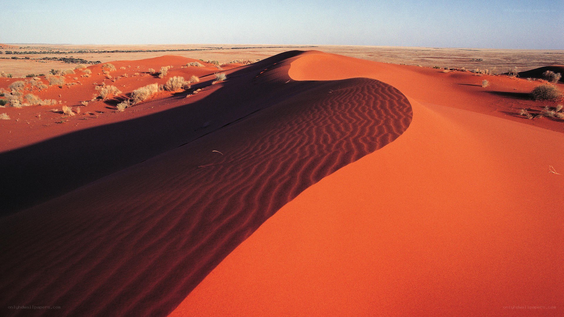 Red sand dunes in desert