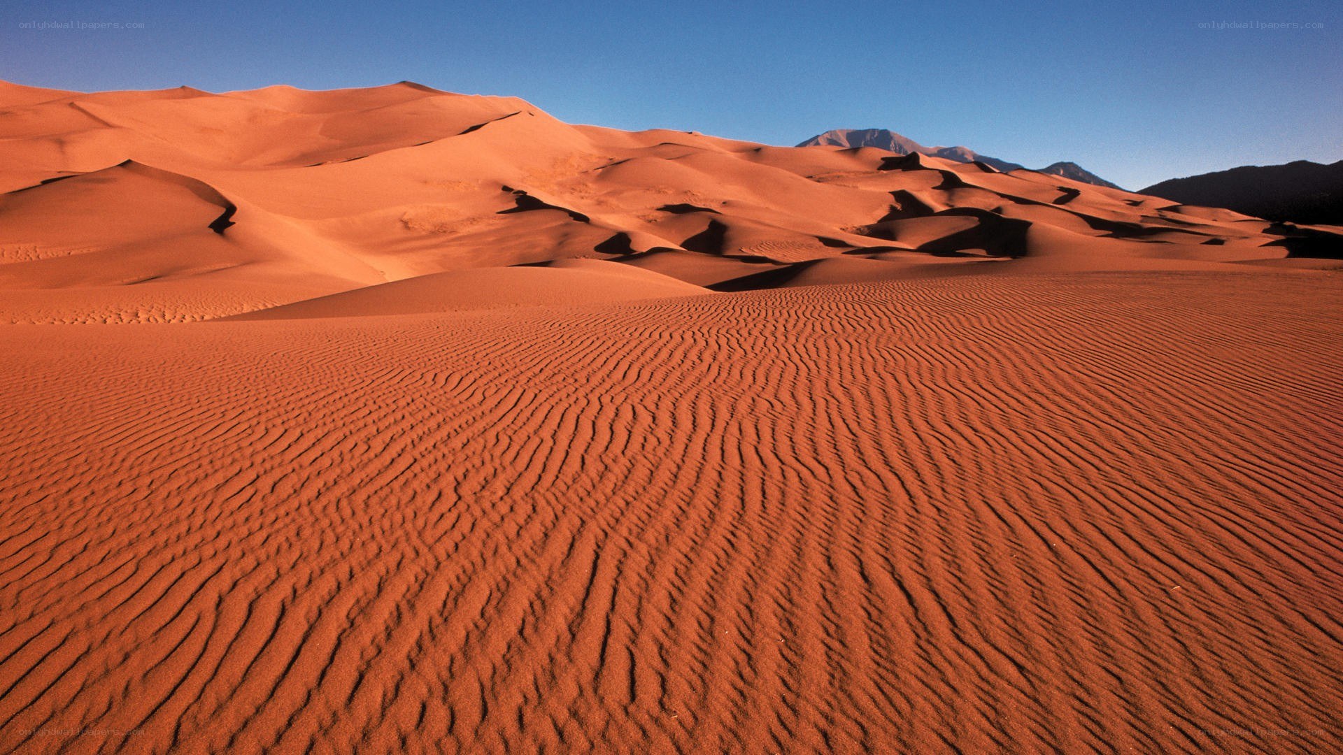 Red sand dunes in desert