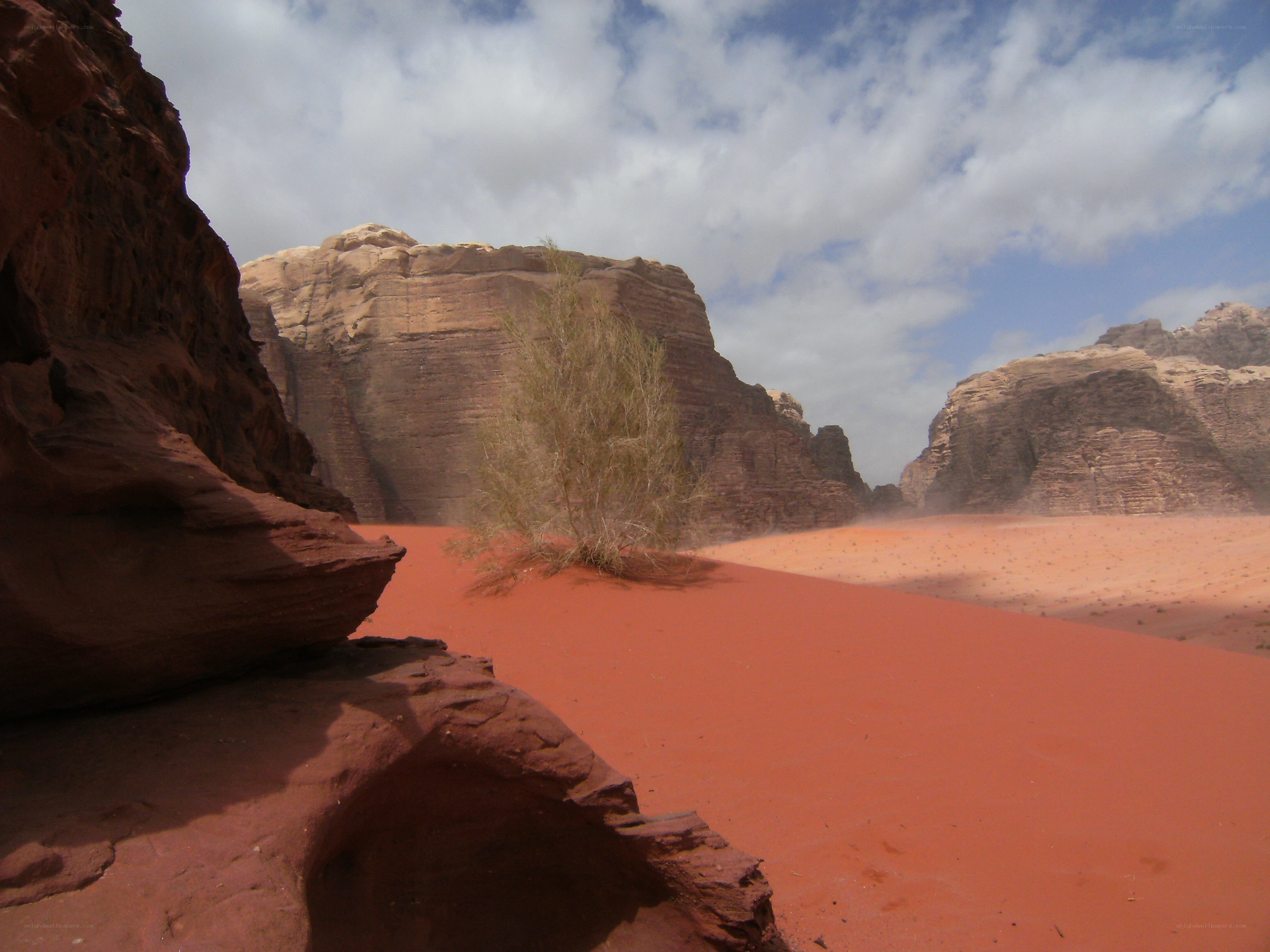 red sand dunes in desert