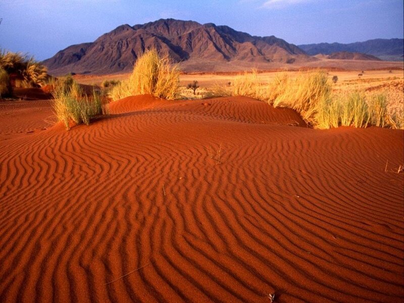 Red sand dunes in desert