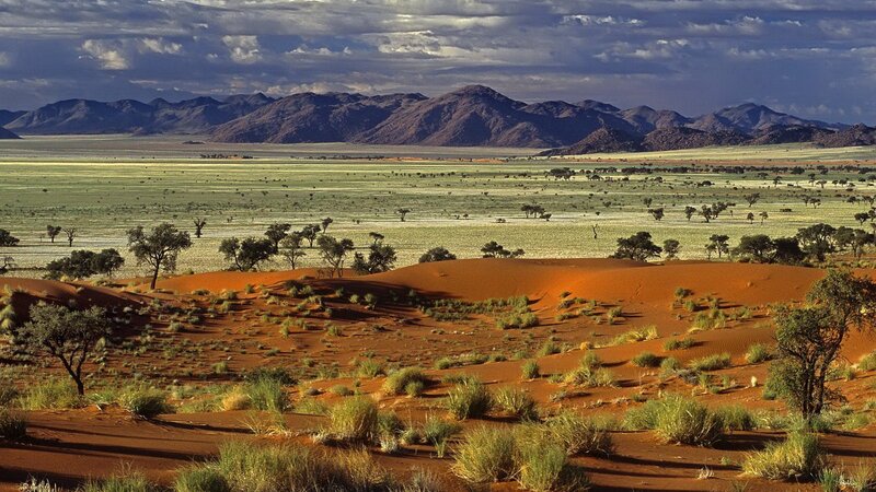 Red Sand Dunes in Desert — Dramatic, Afternoon, Photograph, Mountains, Trees