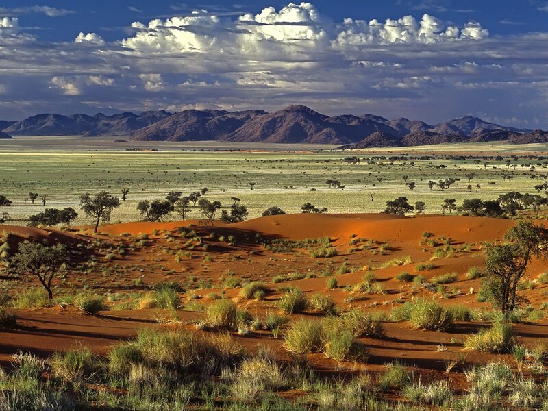 Red Sand Dunes in Desert — Dramatic, Afternoon