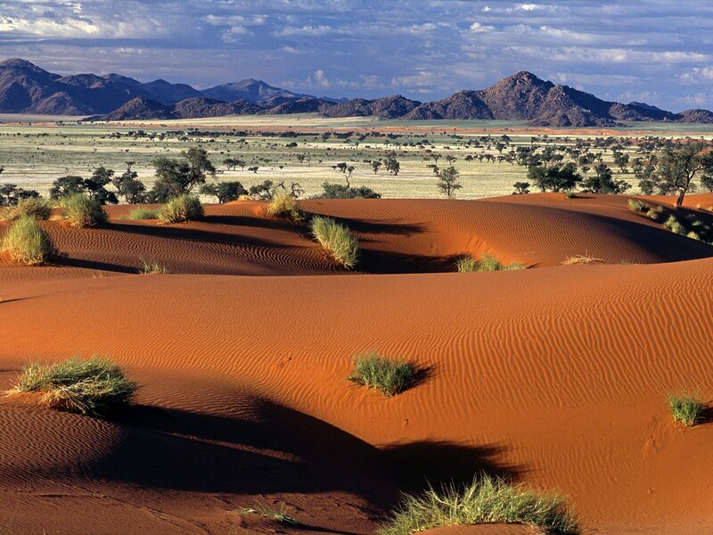 Red sand dunes in desert landscape