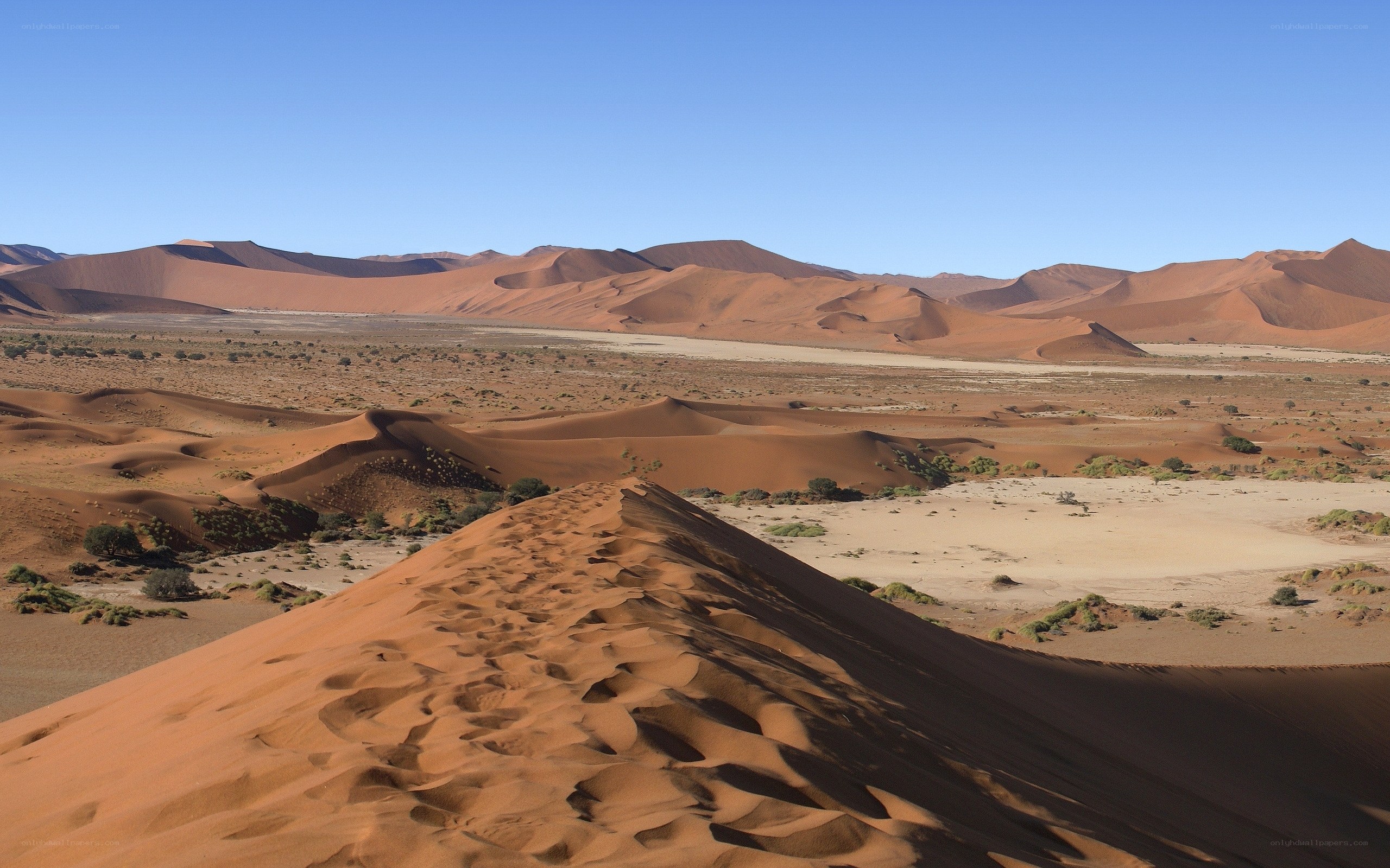 Red sand dunes in desert