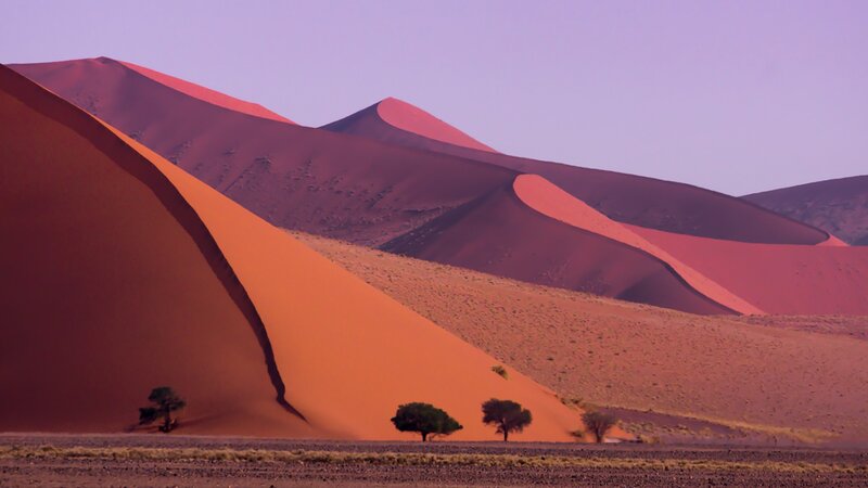 Red Sand Dunes — Orange, Serene, Sunset, Photograph, Trees