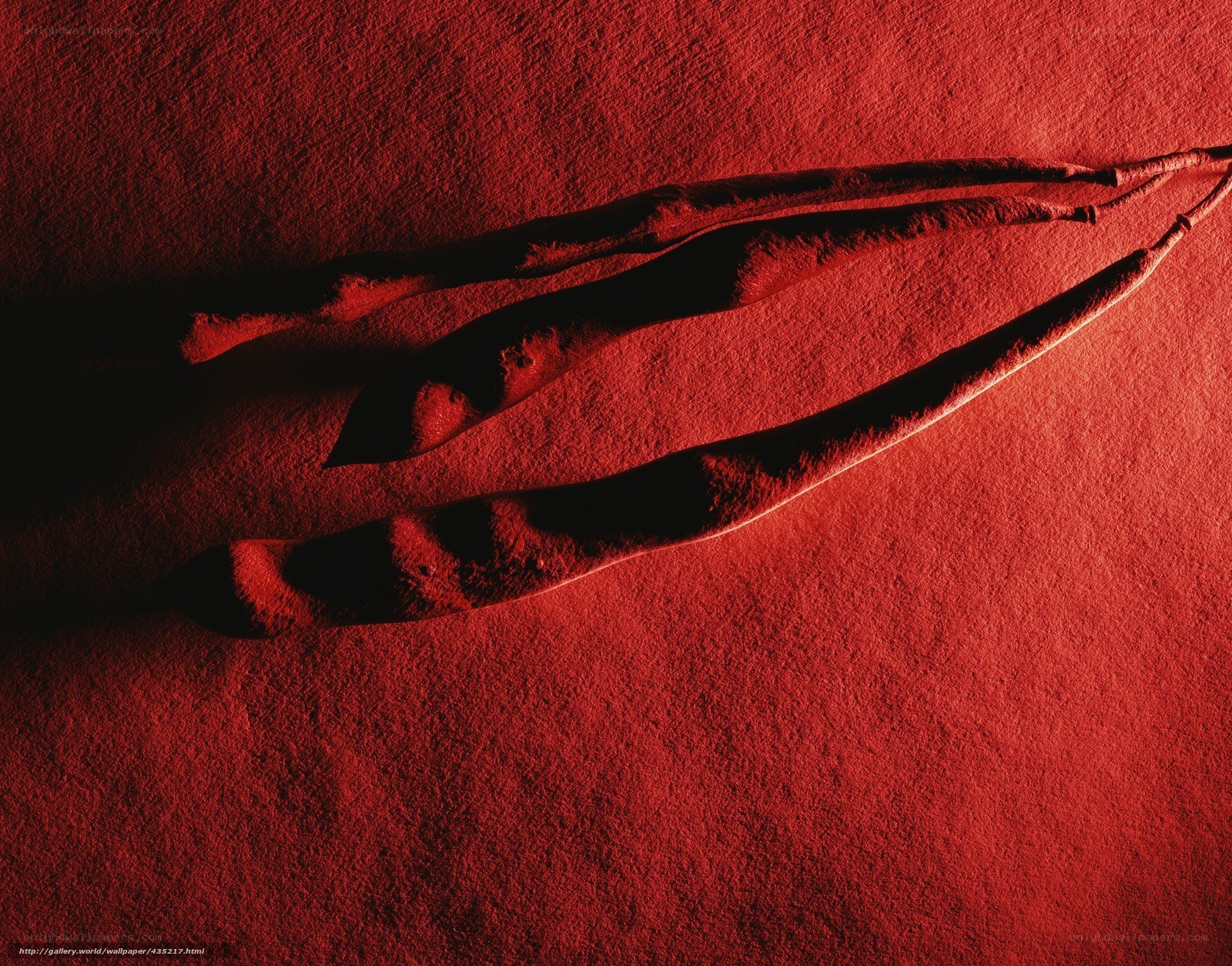 Red sand with claw marks