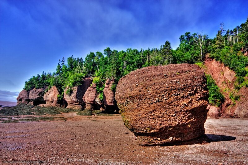 Red sandstone formations at Hopewell Rocks