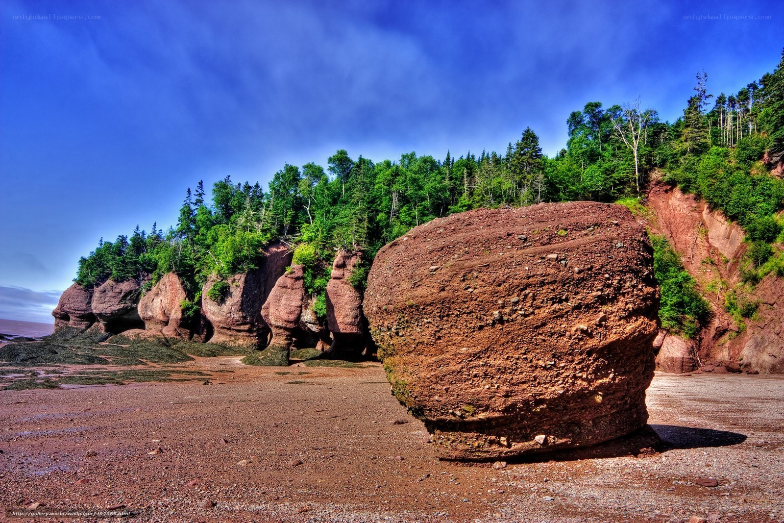 Red sandstone formations at Hopewell Rocks
