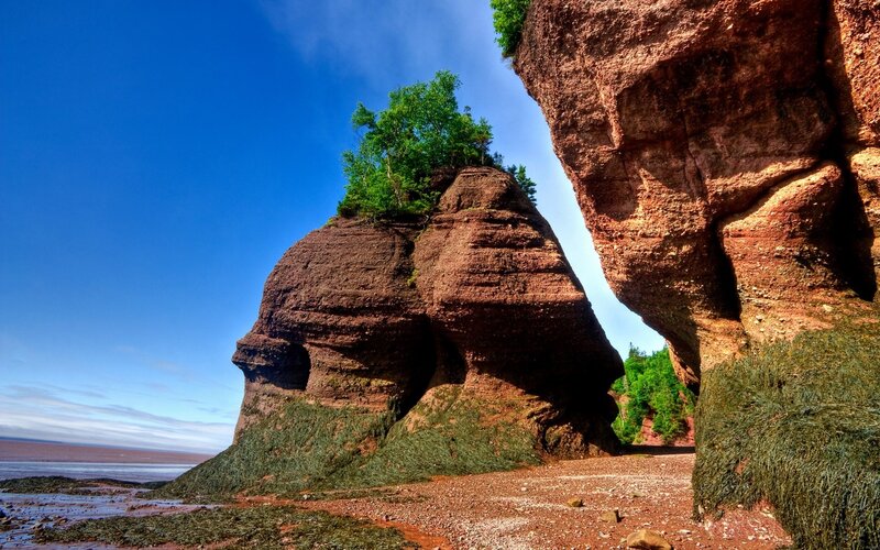 Red Sandstone Sea Stacks