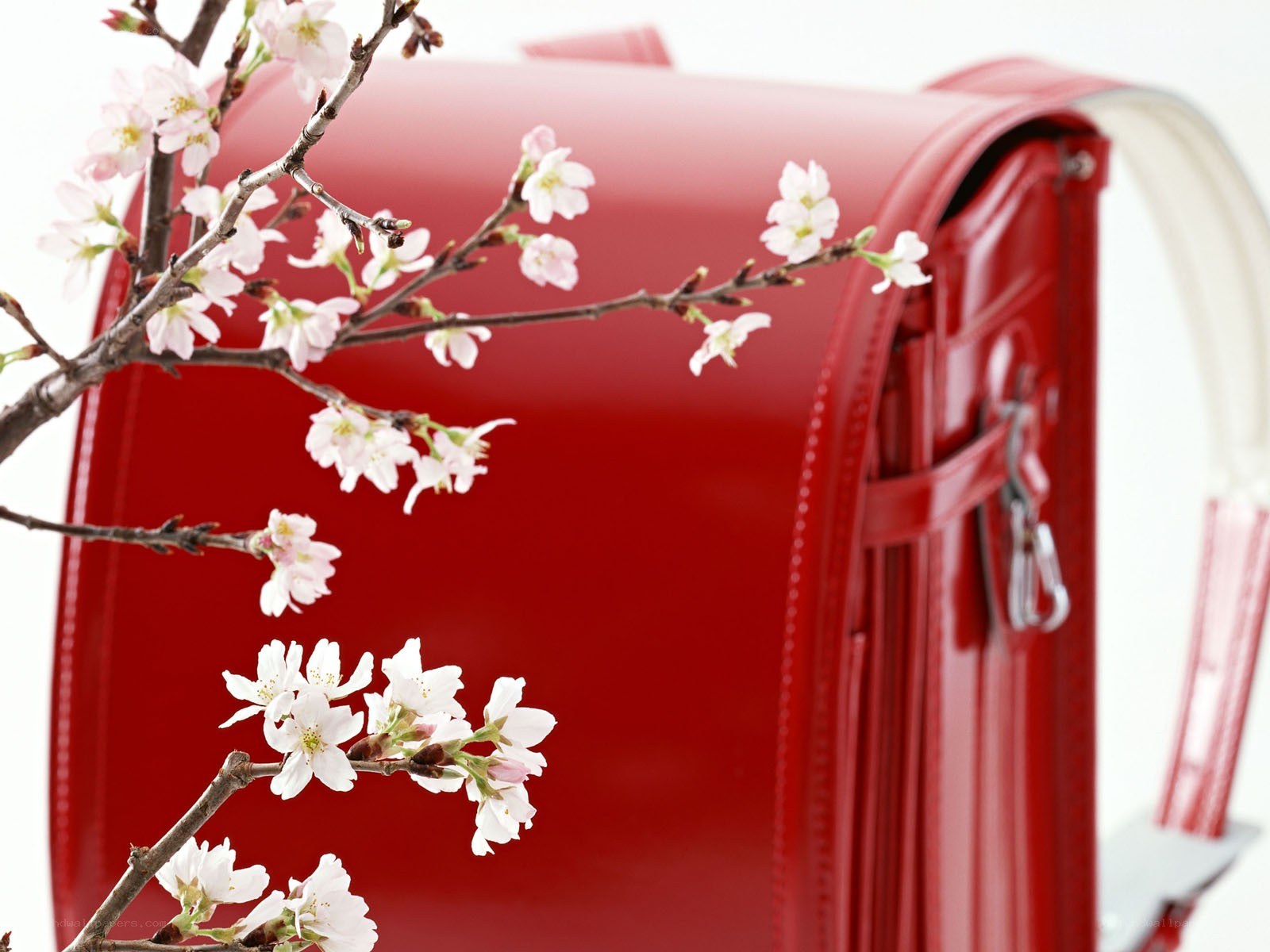 Red school bag with cherry blossoms