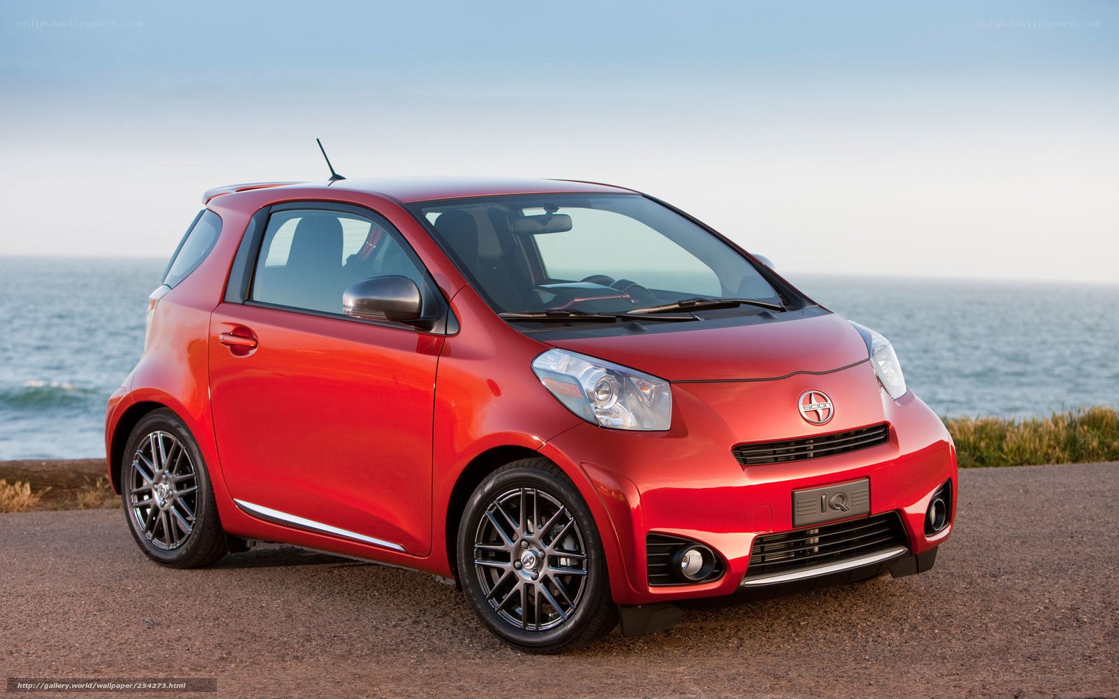 Red Scion iQ by the sea