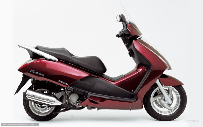 Red Scooter — Maroon