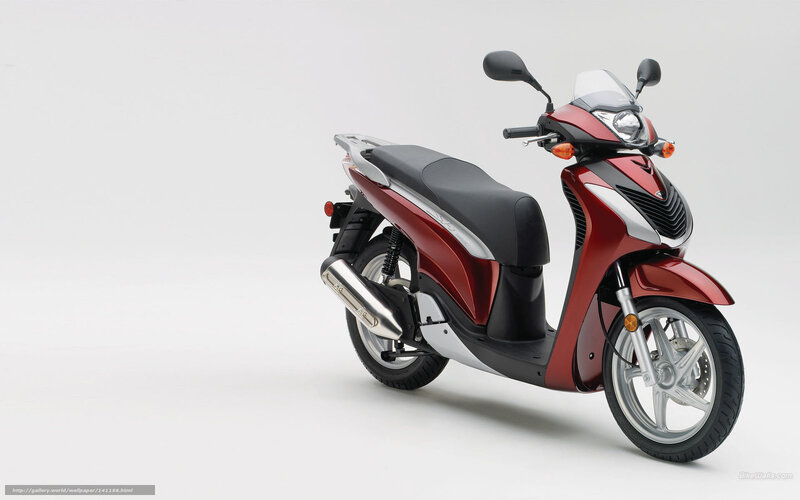 Red scooter on white background