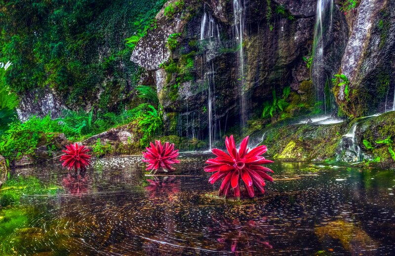 Red Sculptures in Pond