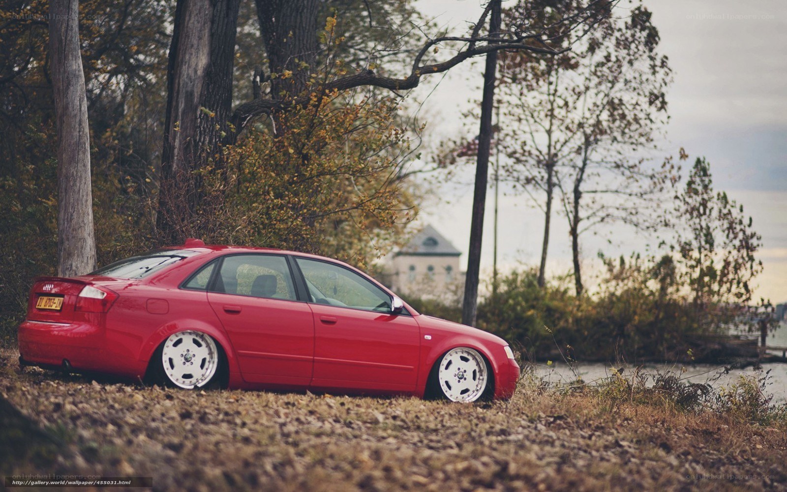 Red sedan by the lake