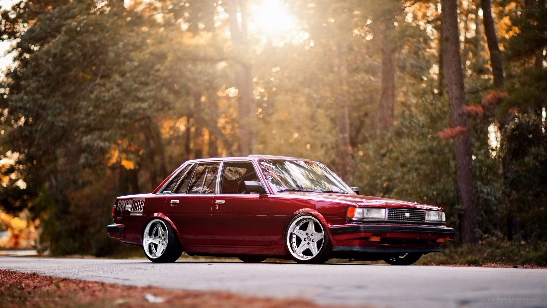 red sedan in forest at sunset