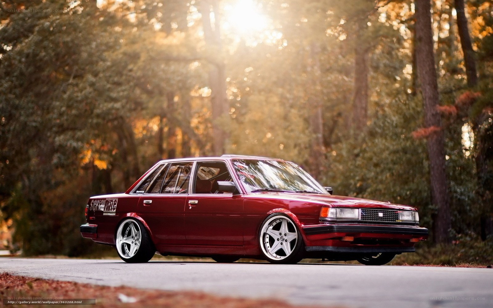 Red sedan in forest at sunset