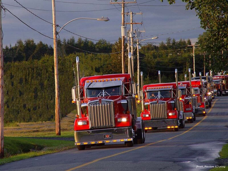 Red Semi-trucks in Line