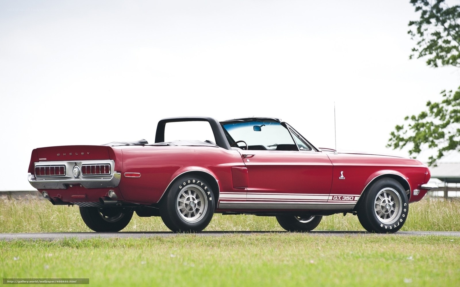 Red Shelby GT350 convertible