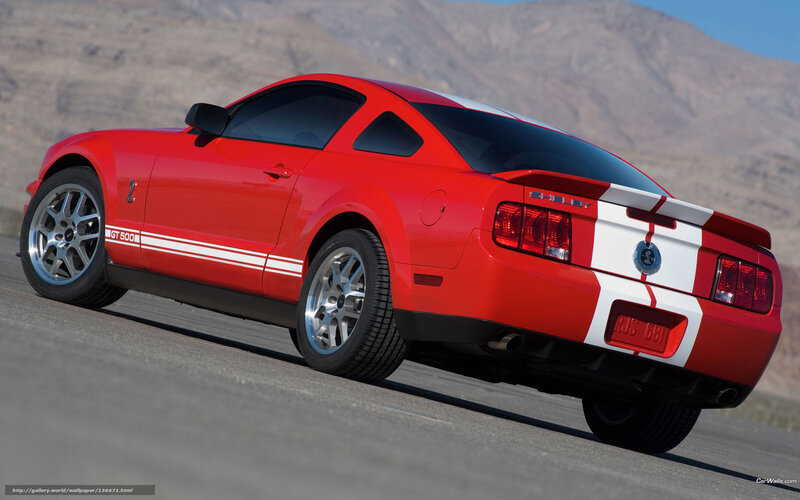Red Shelby GT500 — Dynamic