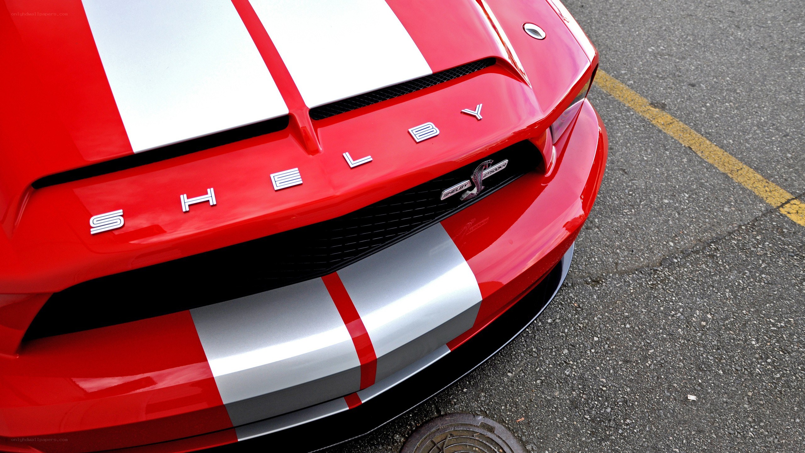 Red Shelby GT500 front view