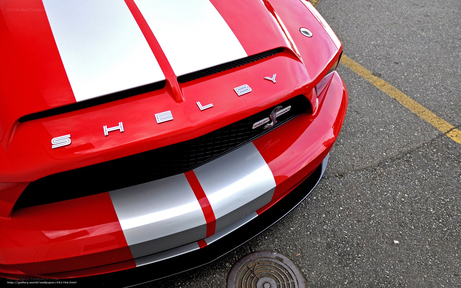 Red Shelby GT500 front view