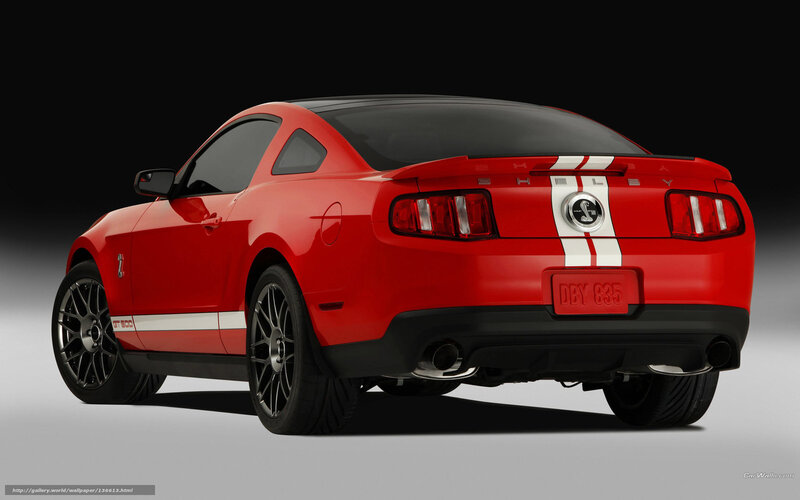 Red Shelby Mustang — Dramatic, Photograph