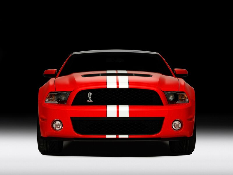 Red Shelby Mustang — Dramatic, Photograph, White Racing Stripes, Snake Emblem, Black Grille