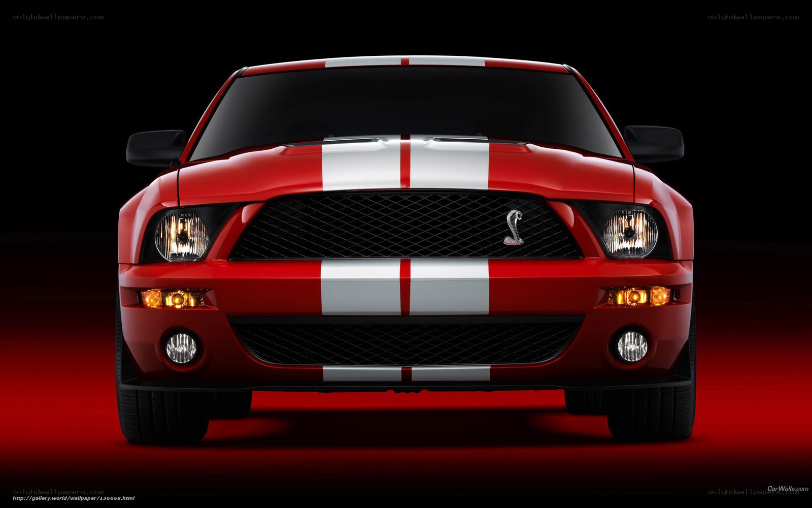 Red Shelby Mustang front view