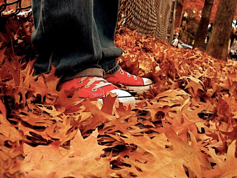 Red shoes in autumn leaves
