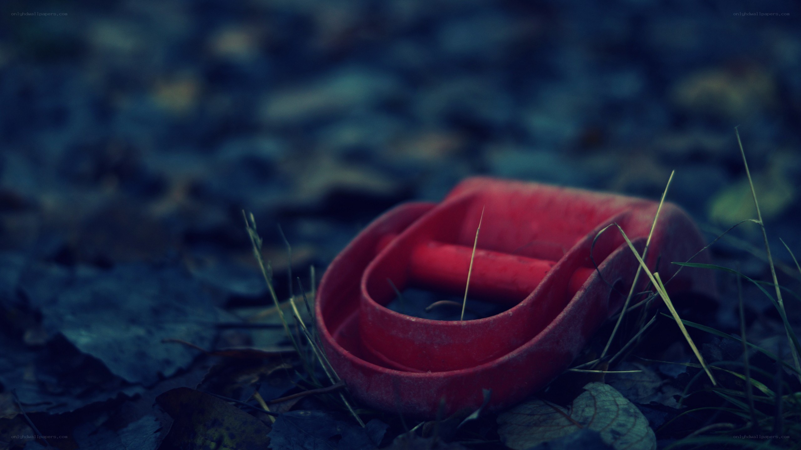red shovel in leaves