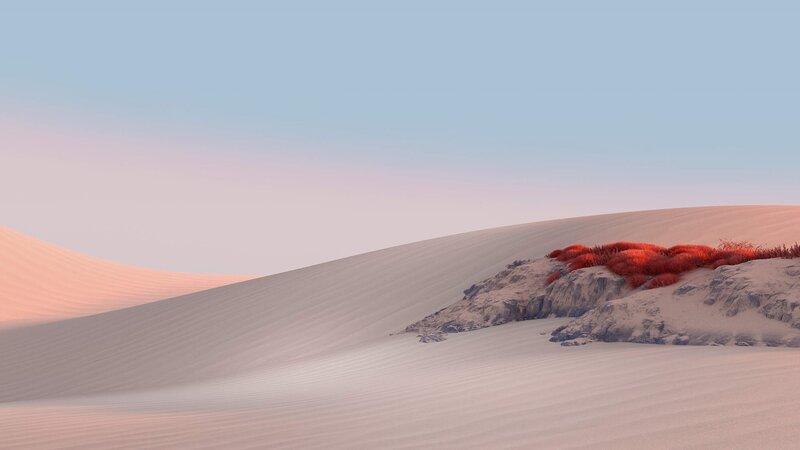 Red Shrubs on Sand Dunes