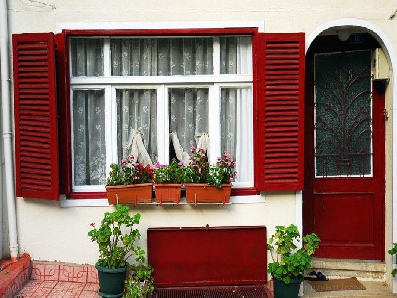 red shutters and flowers