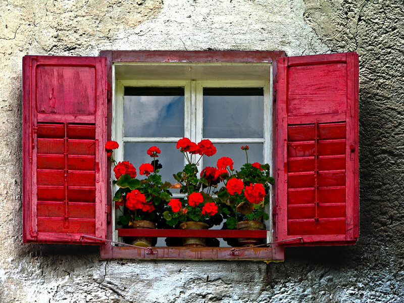 Red Shutters with Flowers — Calm