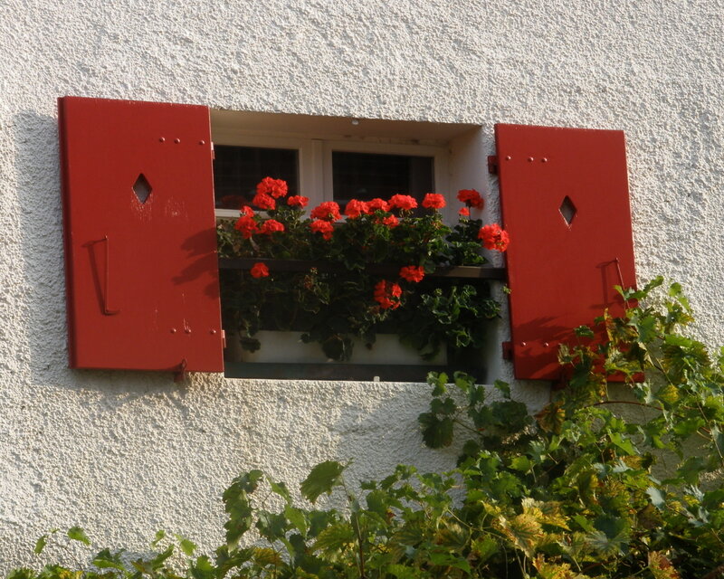 Red Shutters with Flowers