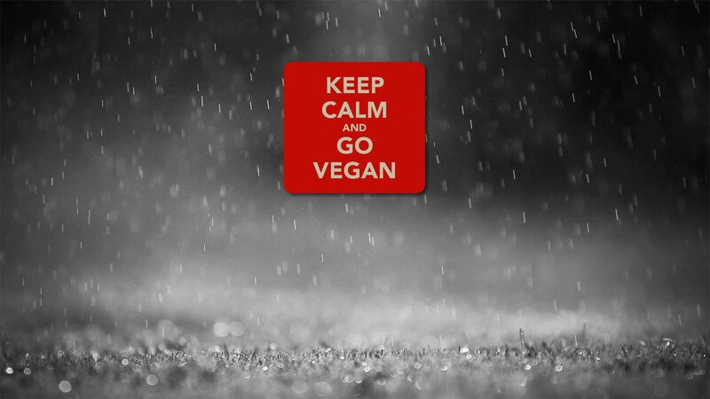 Red Sign in Rain