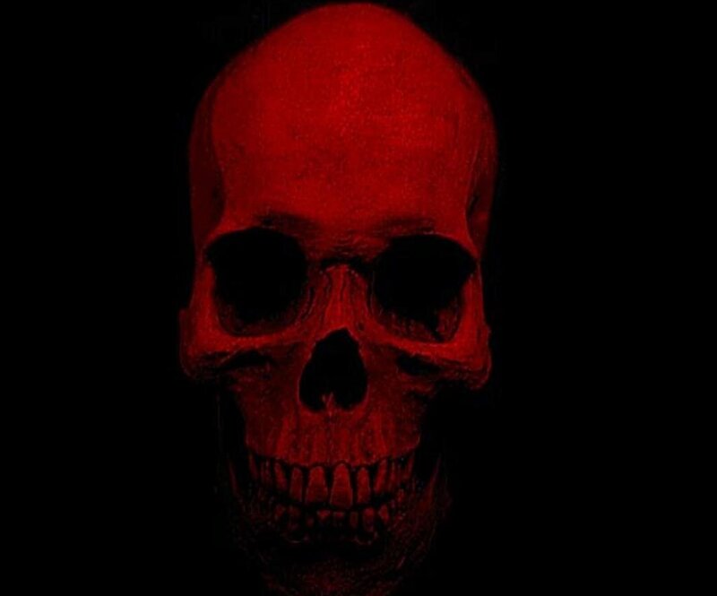 red skull in darkness
