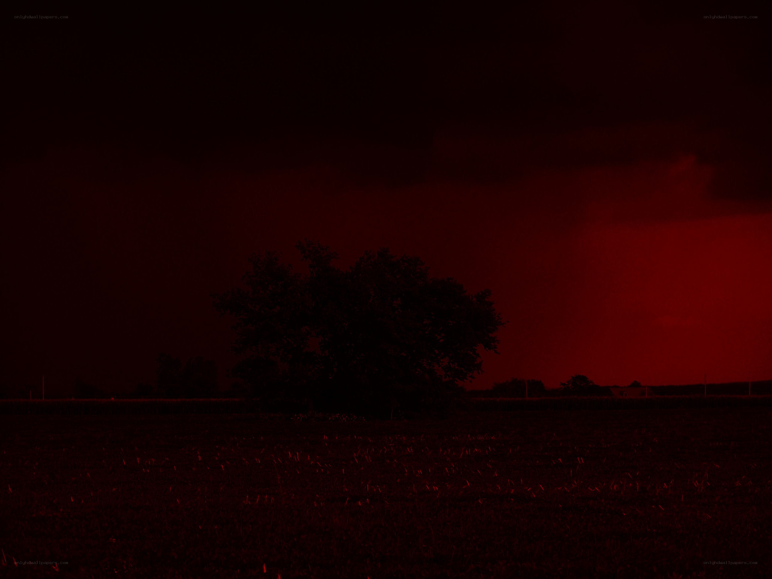 Red sky at night